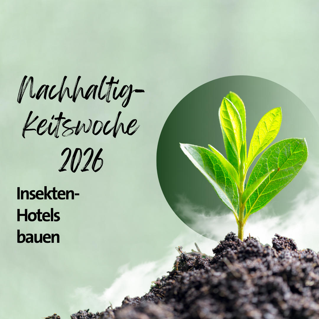 Nachhaltigkeitswoche- Insektenhotels bauen