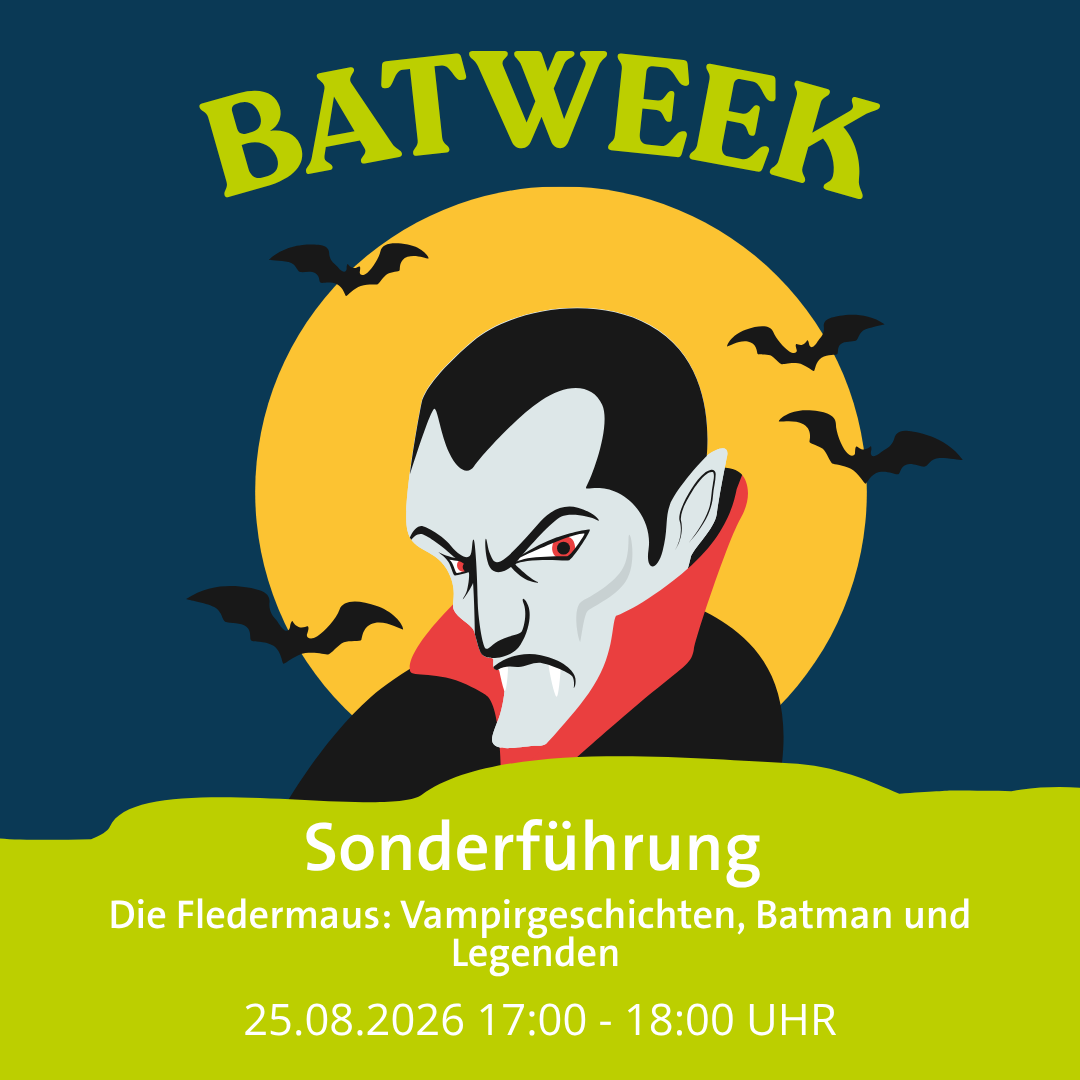 Sonderführung: Die Fledermaus: Vampirgeschichten, Batman und Legenden