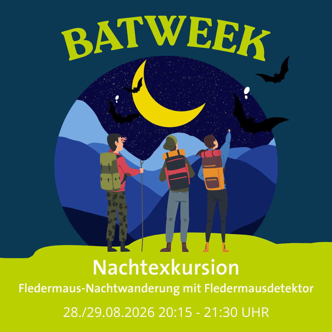 BATWEEK SPECIAL: Fledermaus-Nachtexkursion zu Fuß