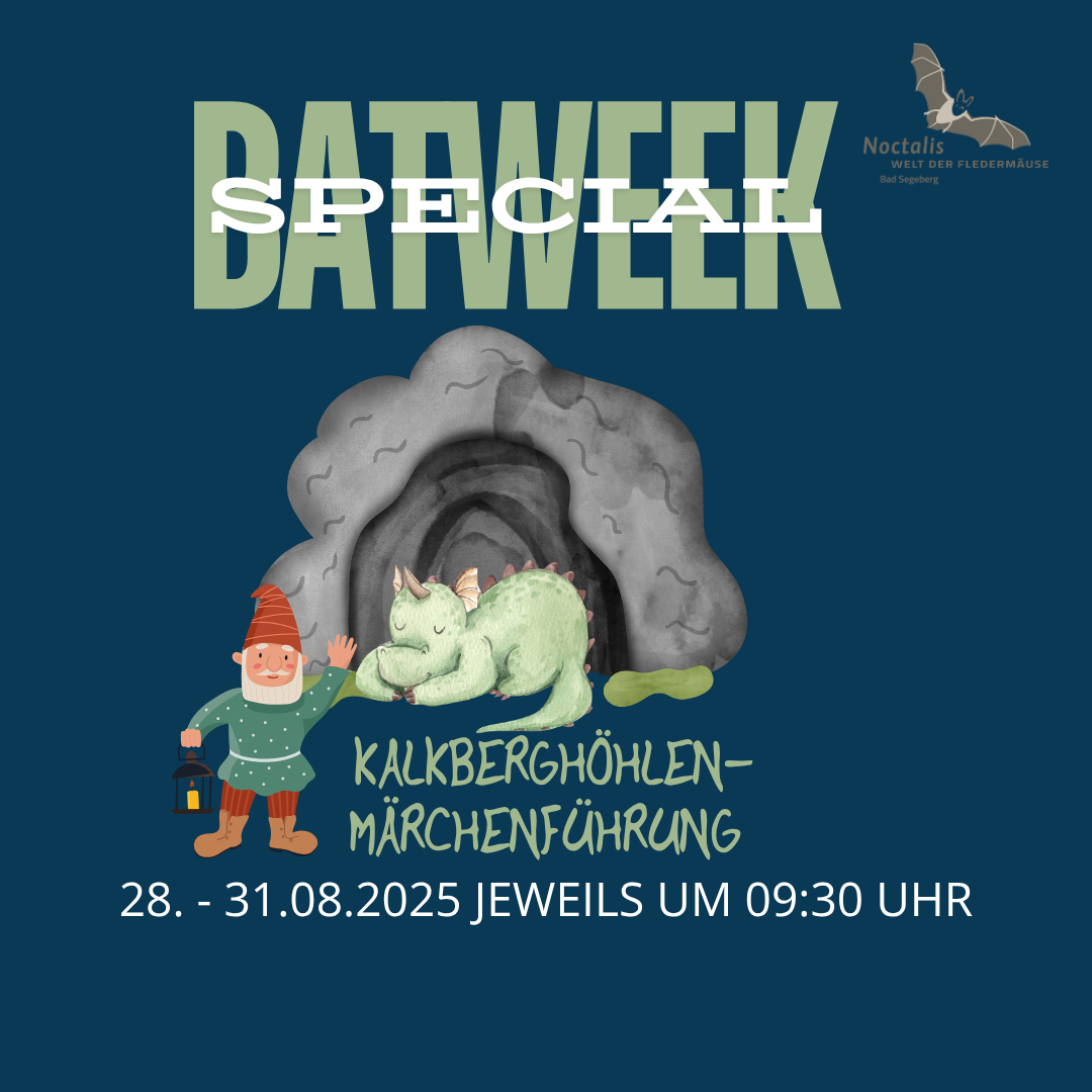 BATWEEK-SPECIAL: Kalkberghöhlen Märchenführung