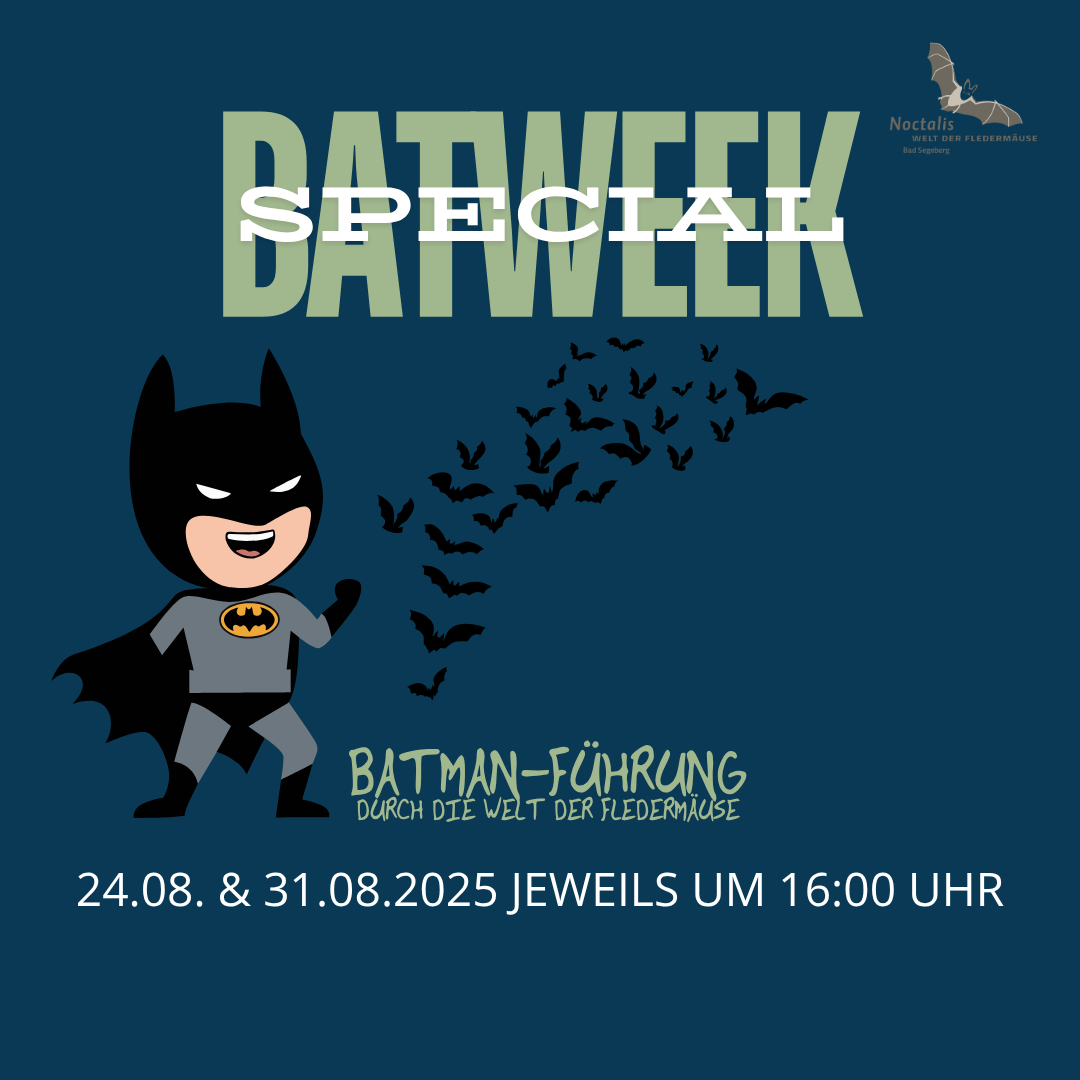 BATWEEK SPECIAL: Hausführung für Familien von und mit Batman