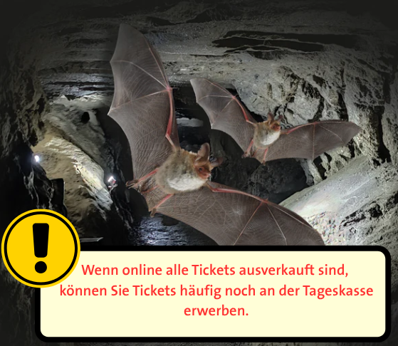 Kalkberghöhle | Geführte Höhlen-Tour (April - September)