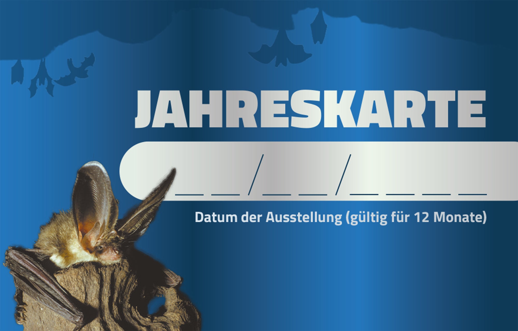 Jahreskarte Erlebnisausstellung "Noctalis - Welt der Fledermäuse"