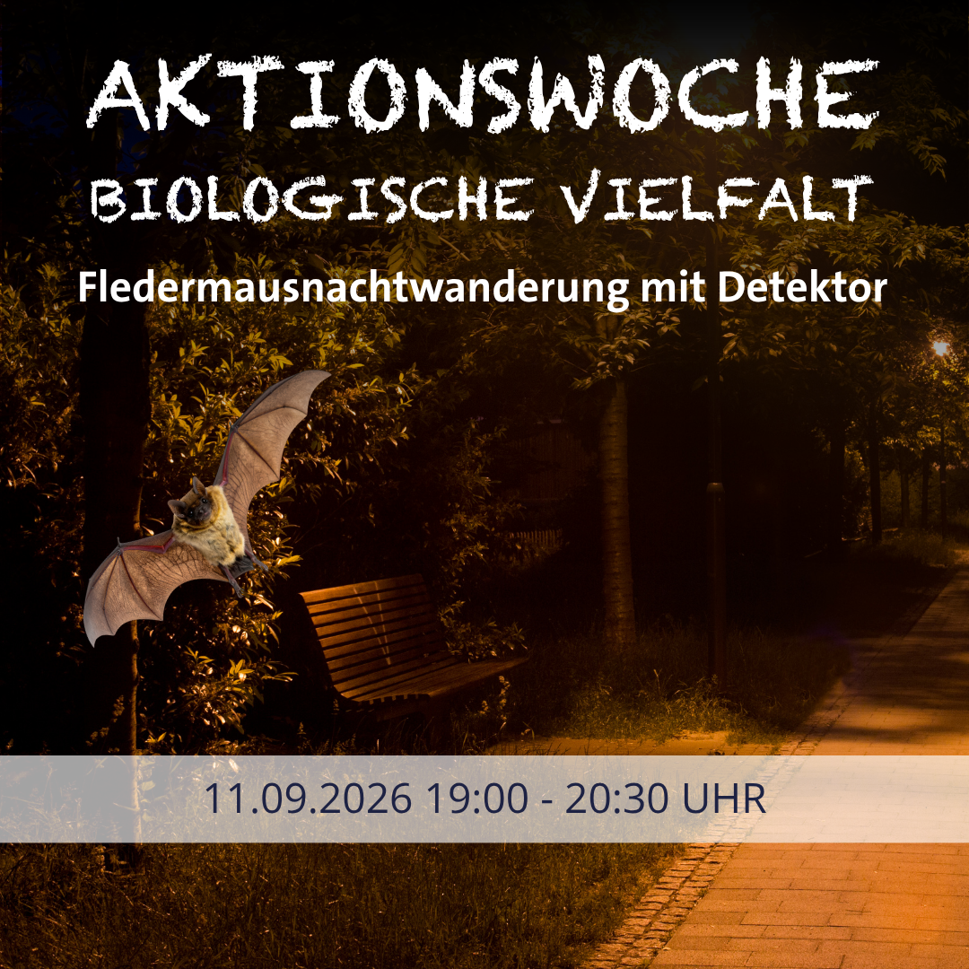 Aktionswoche Biologische Vielfalt: Öffentliche Abendexkursion