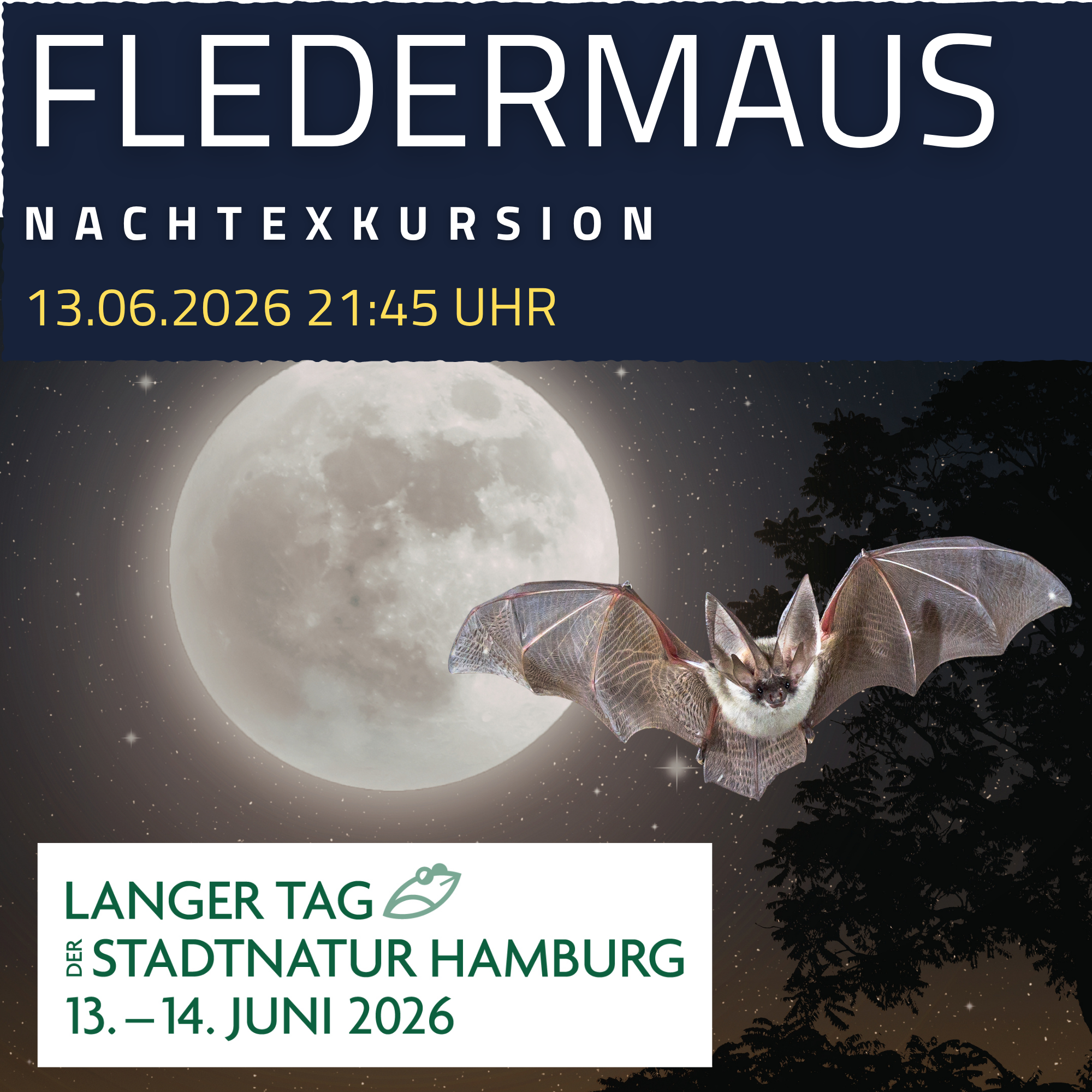 Langer Tag der Stadtnatur: Fledermaus-Nachtexpedition mit Ultraschall-Detektor