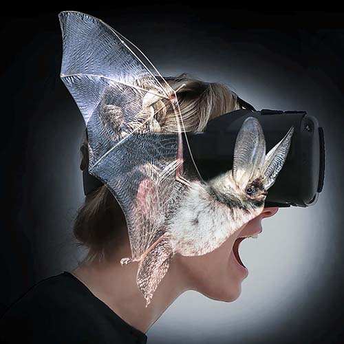 Erlebnis-Ausstellung | Dauerausstellung + BATVISION