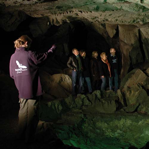 Kalkberghöhle | Geführte Höhlen-Tour (April - September)