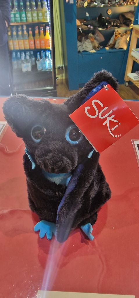 Suki Fledermaus Astro Galaxy schwarz türkis