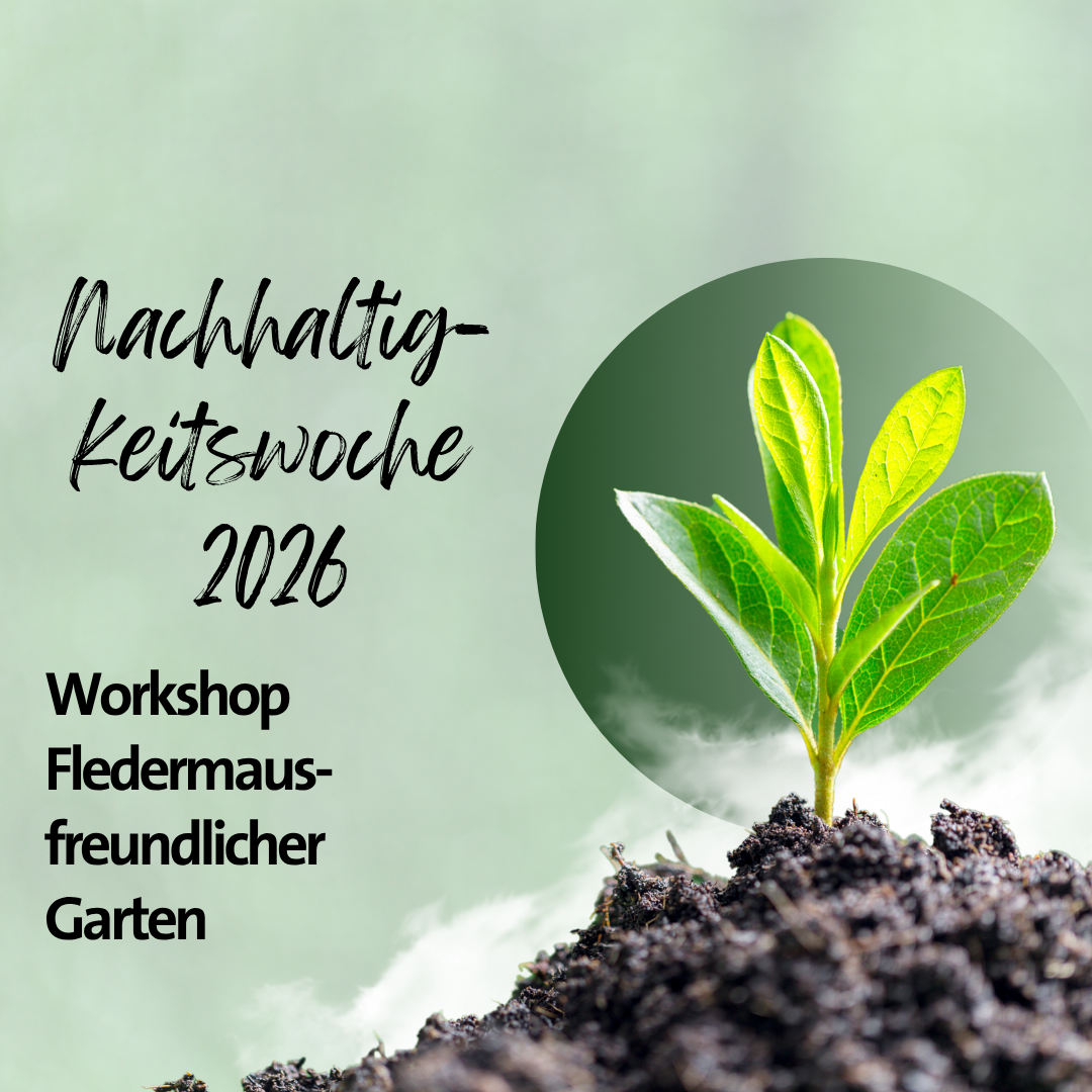 Nachhaltigkeitswoche- Workshop Fledermausfreundlicher Garten