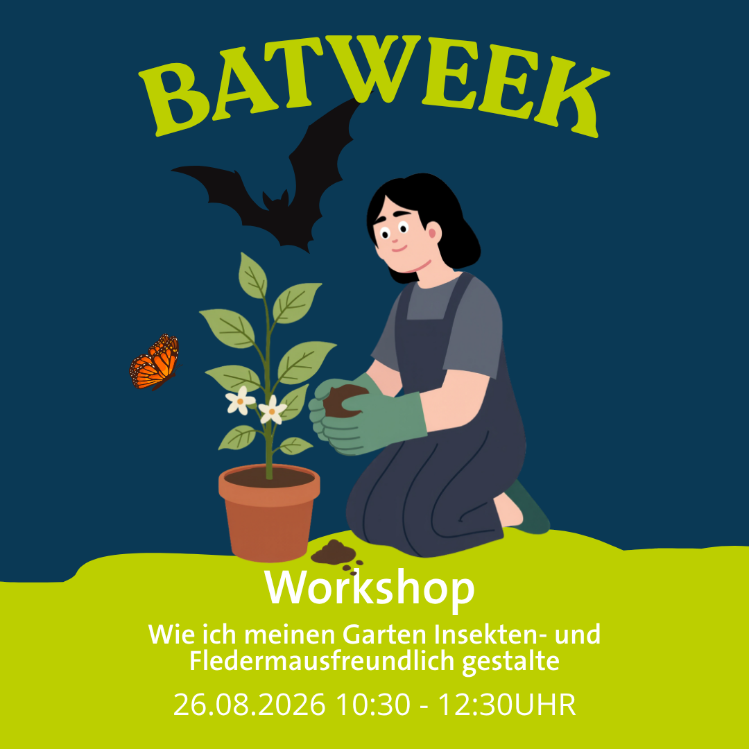 Workshop - Fledermausfreundlicher Garten