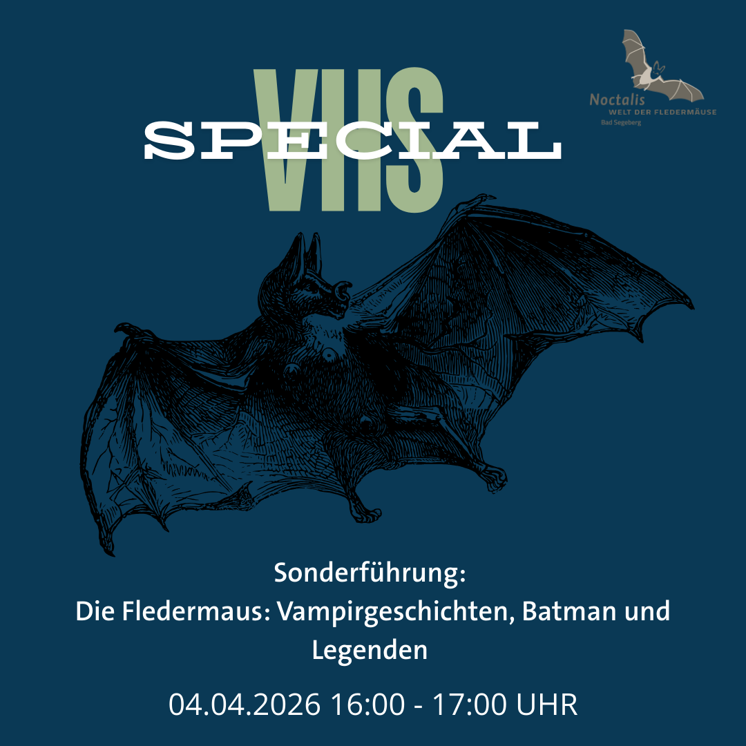 Sonderführung: Die Fledermaus: Vampirgeschichten, Batman und Legenden