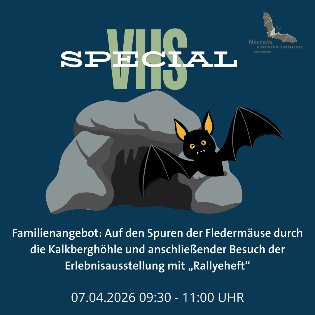 Familienangebot: Auf den Spuren der Fledermäuse durch die Kalkberghöhle und anschließender Besuch der Erlebnisausstellung mit „Rallyeheft“