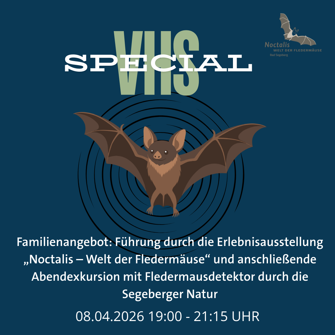 Familienangebot: Führung durch die Erlebnisausstellung „Noctalis – Welt der Fledermäuse“ und anschließende Abendexkursion mit Fledermausdetektor durch die Segeberger Natur