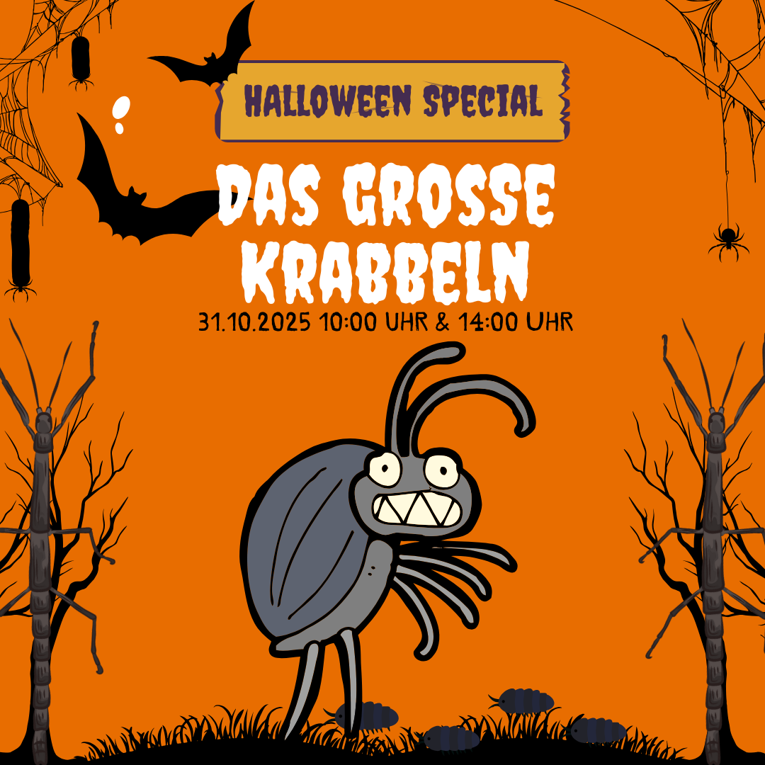 Das große Krabbeln – Fürchte dich nicht vor unseren unheimlichen Krabbeltieren!