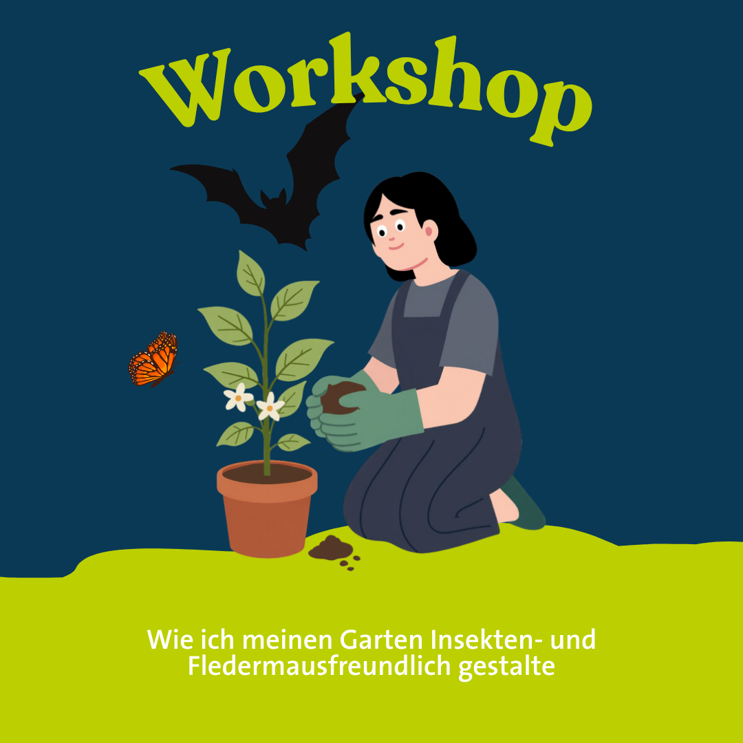Workshop - Fledermausfreundlicher Garten