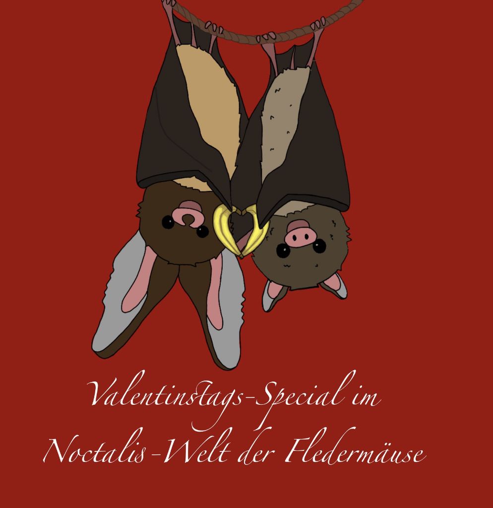Valentinstags-Special Valentinstags-Special